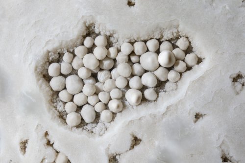 Spéléodrome de Villers-lès-Nancy - Nid de perles des cavernes(SP-19-1929 )